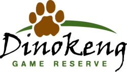 cropped-DGR-LOGO-COLOUR